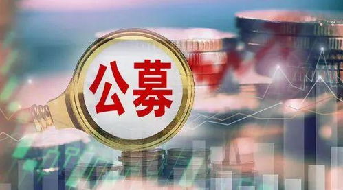 尷尬流拍 公募基金股權(quán)“香餑餑”為何沒人啃？